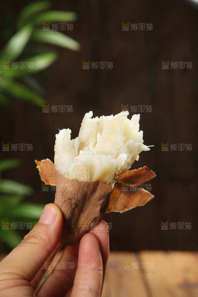 手里拿着哈密红薯