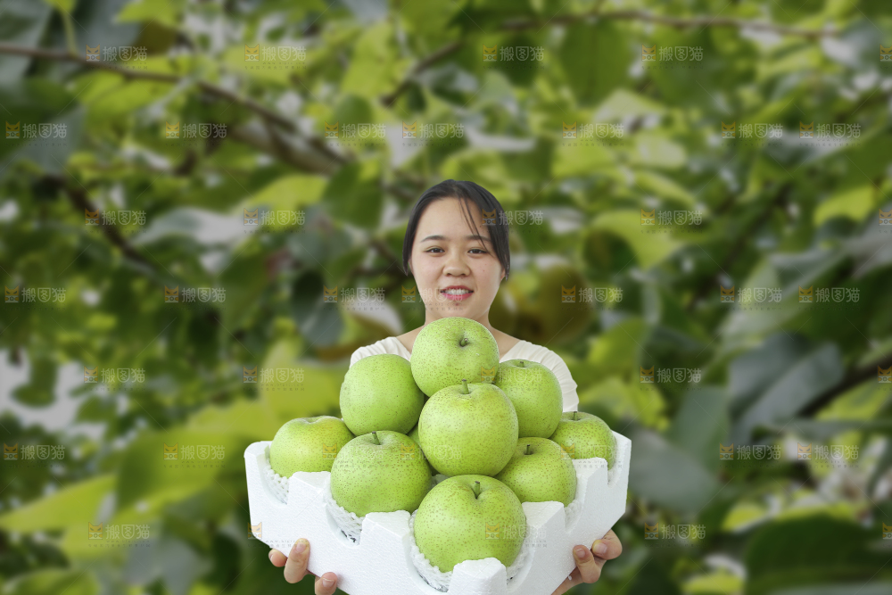 手里拿着一盒青皇冠梨