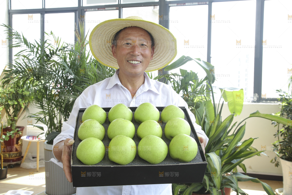 手里拿着一盒青皇冠梨