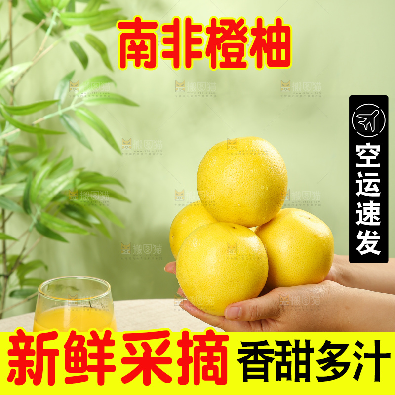 浅底上的南非橙柚