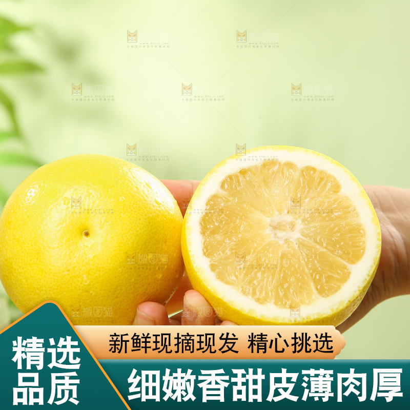浅底上的南非橙柚
