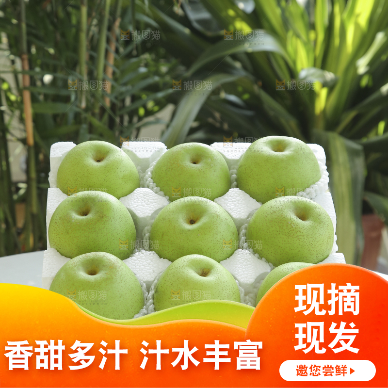 手里拿着一盒青皇冠梨