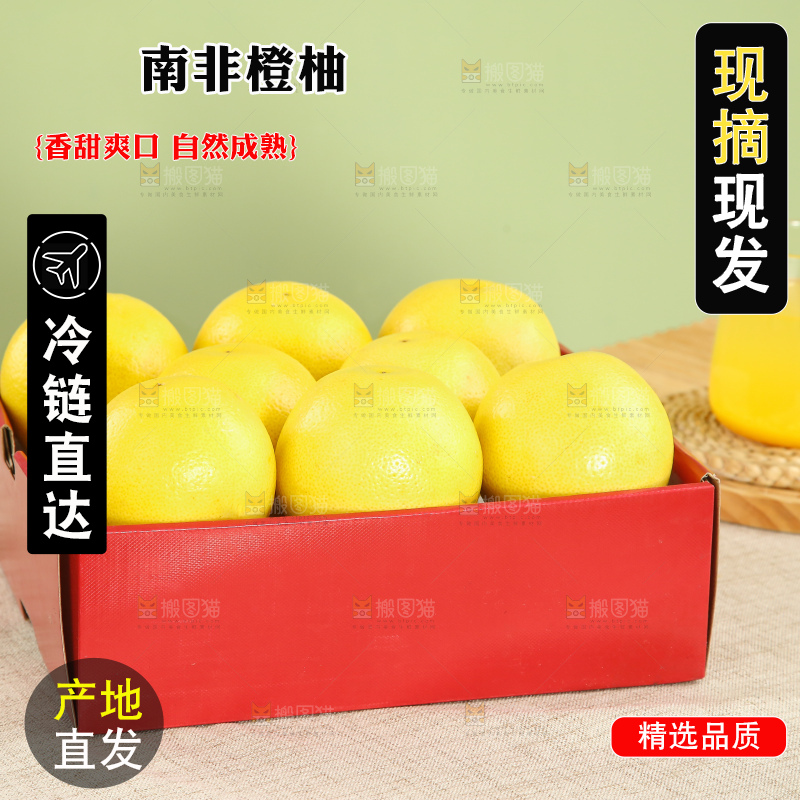 浅底上的南非橙柚