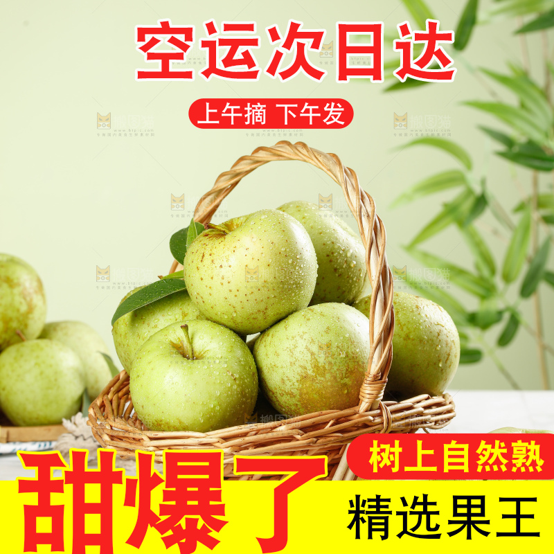 浅底上的金帅青苹果