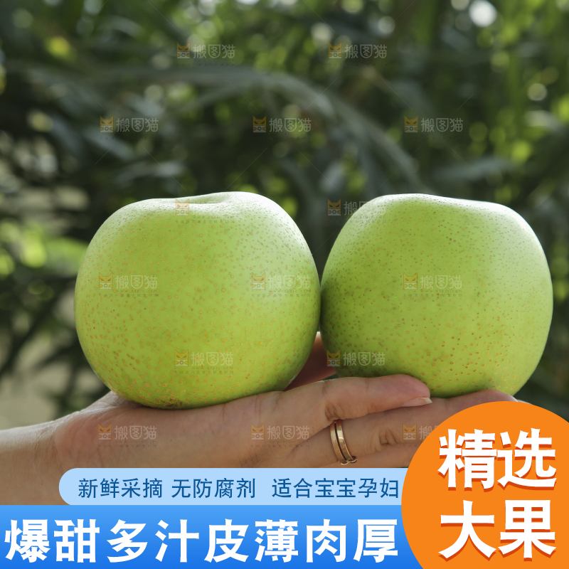 手里拿着一盒青皇冠梨