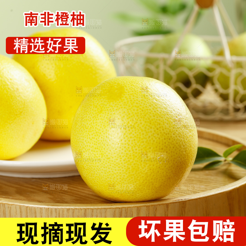 浅底上的南非橙柚