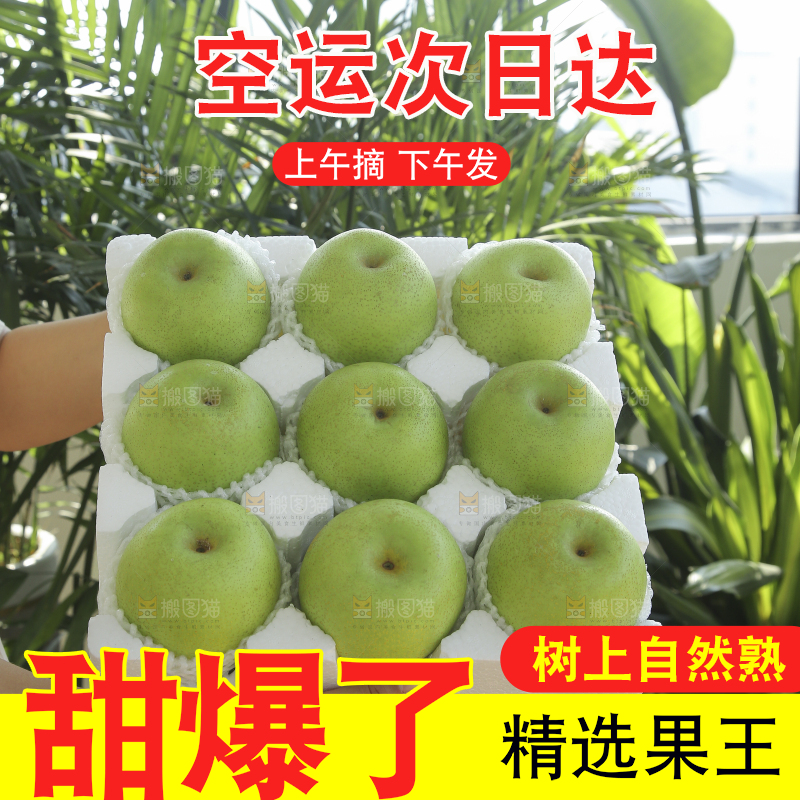 手里拿着一盒青皇冠梨