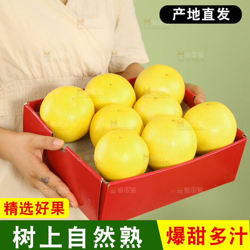 浅底上的南非橙柚