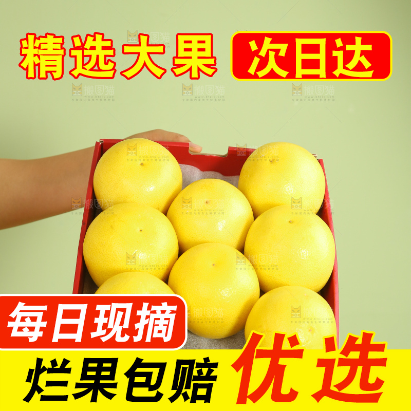 浅底上的南非橙柚
