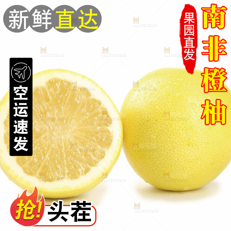 白底上的南非橙柚