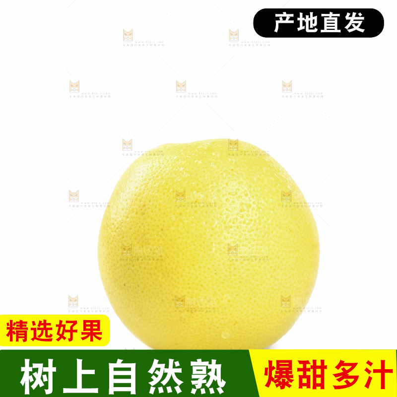 白底上的南非橙柚