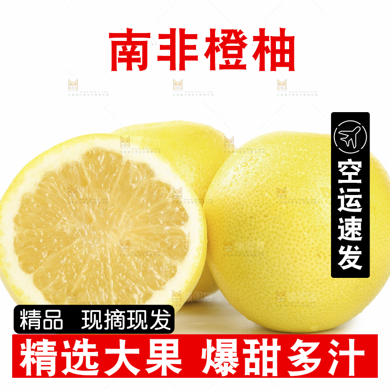 白底上的南非橙柚
