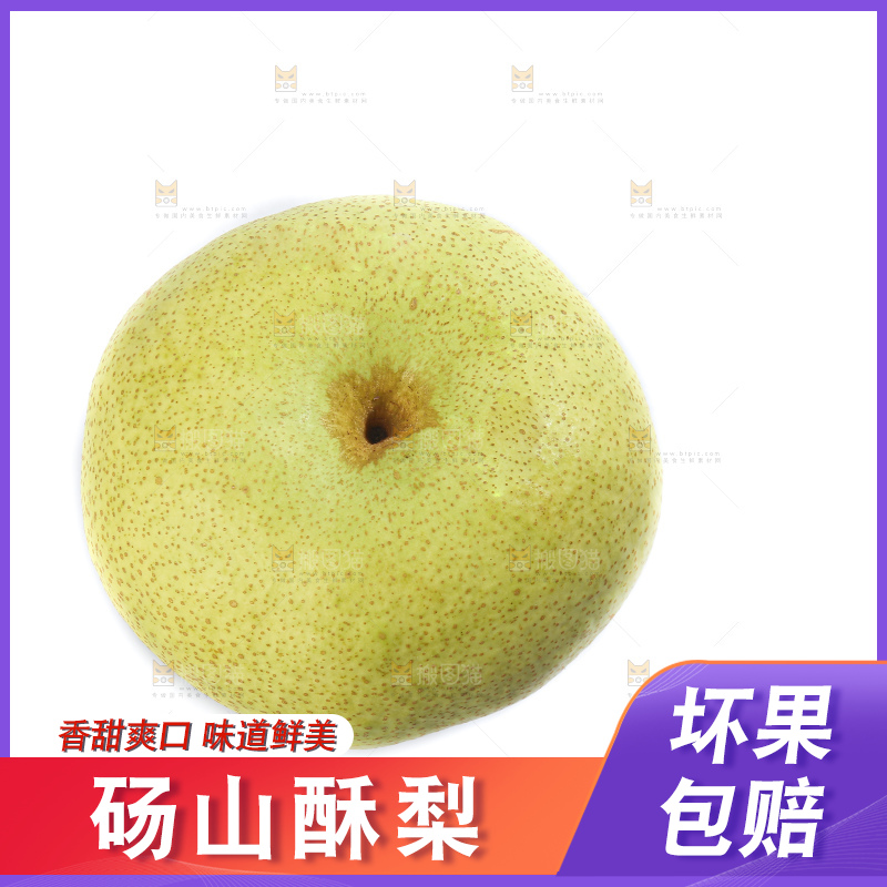 白底上的砀山酥梨