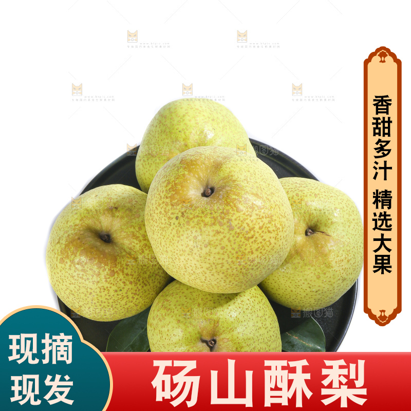 白底上的砀山酥梨