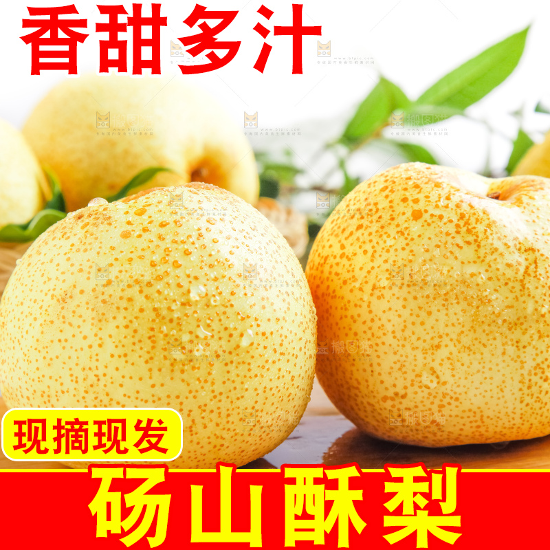 浅底上的砀山酥梨