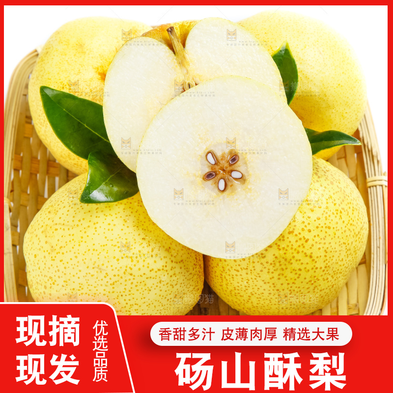 白底上的砀山酥梨