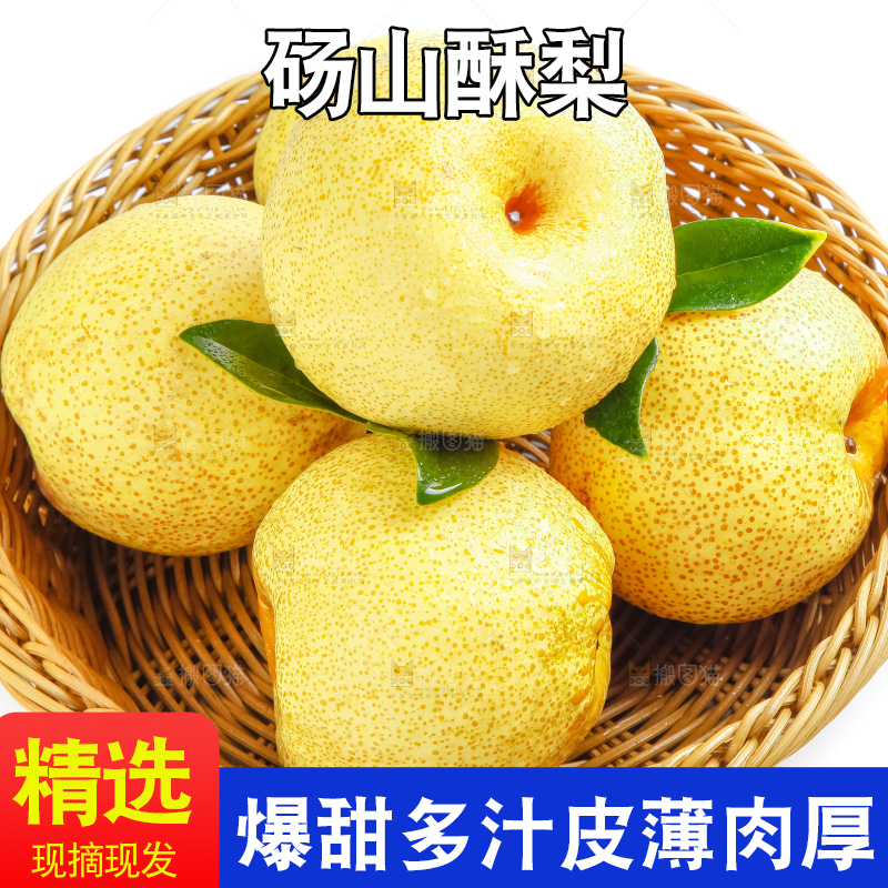 白底上的砀山酥梨