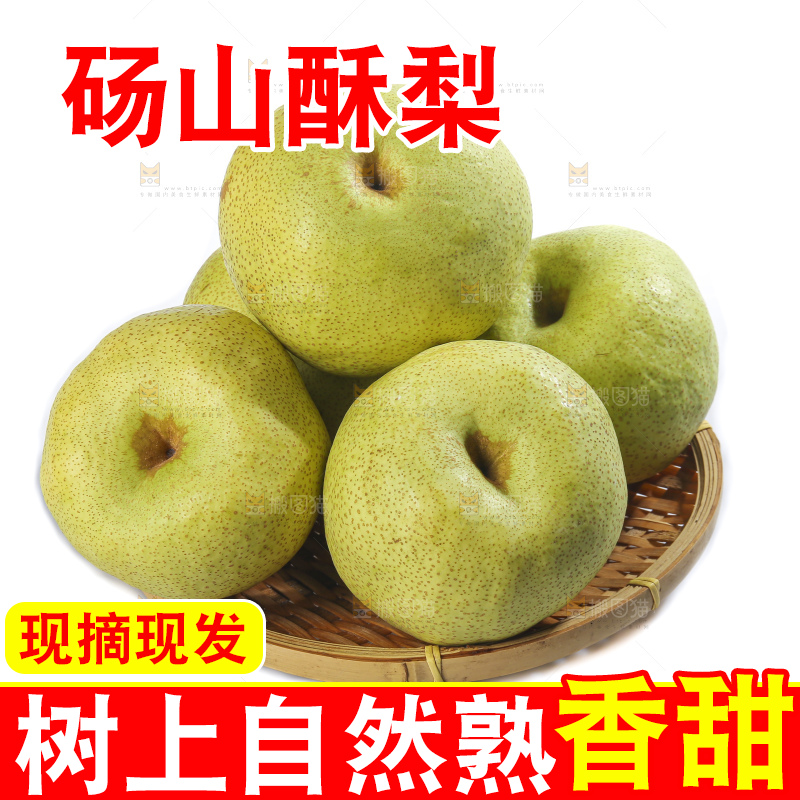 白底上的砀山酥梨