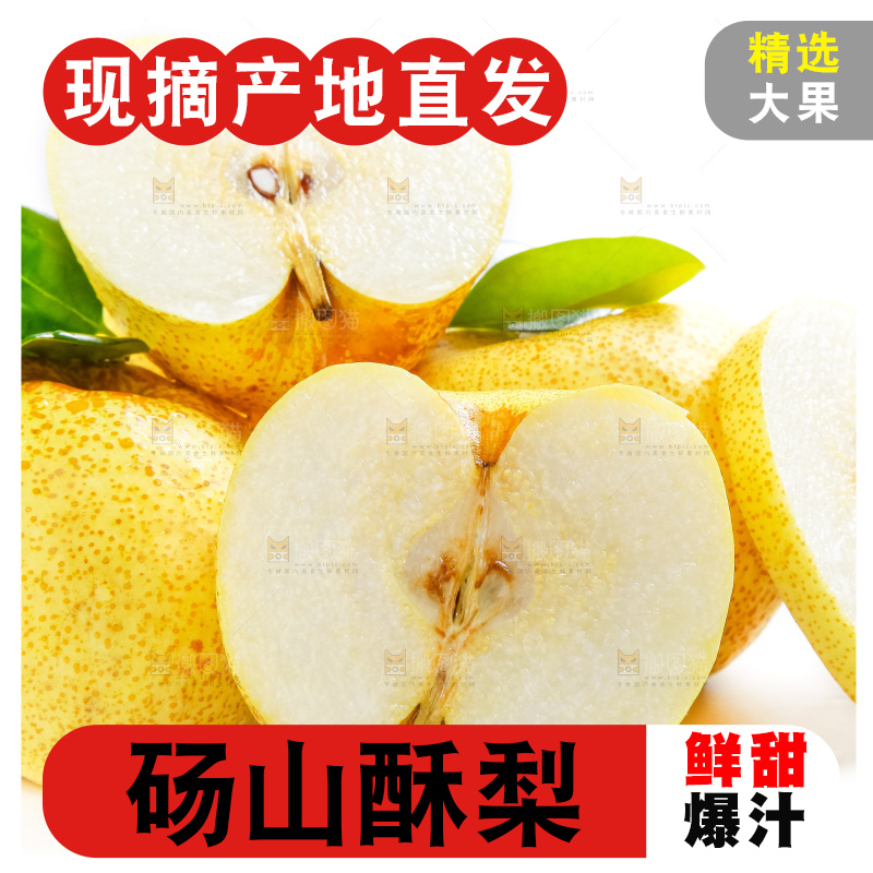 白底上的砀山酥梨