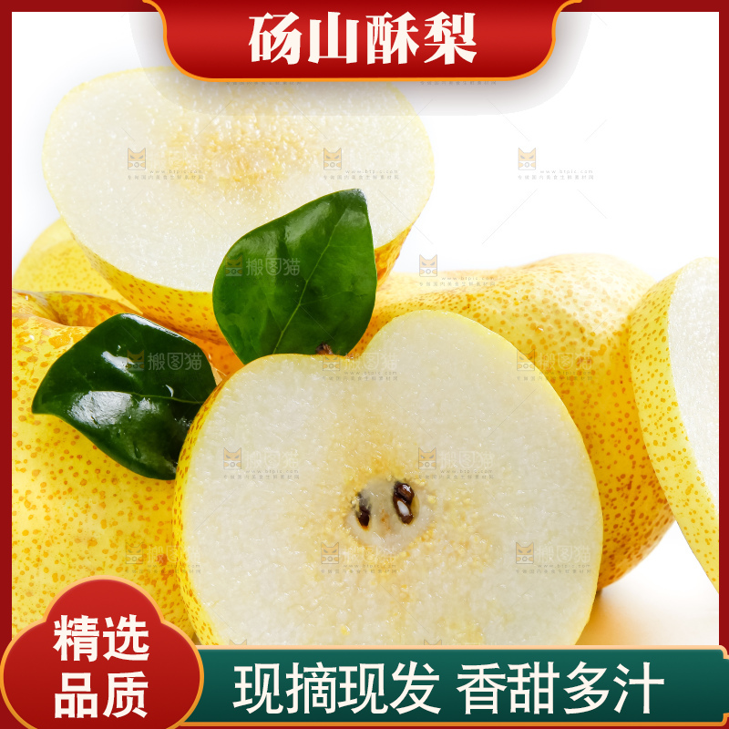 白底上的砀山酥梨