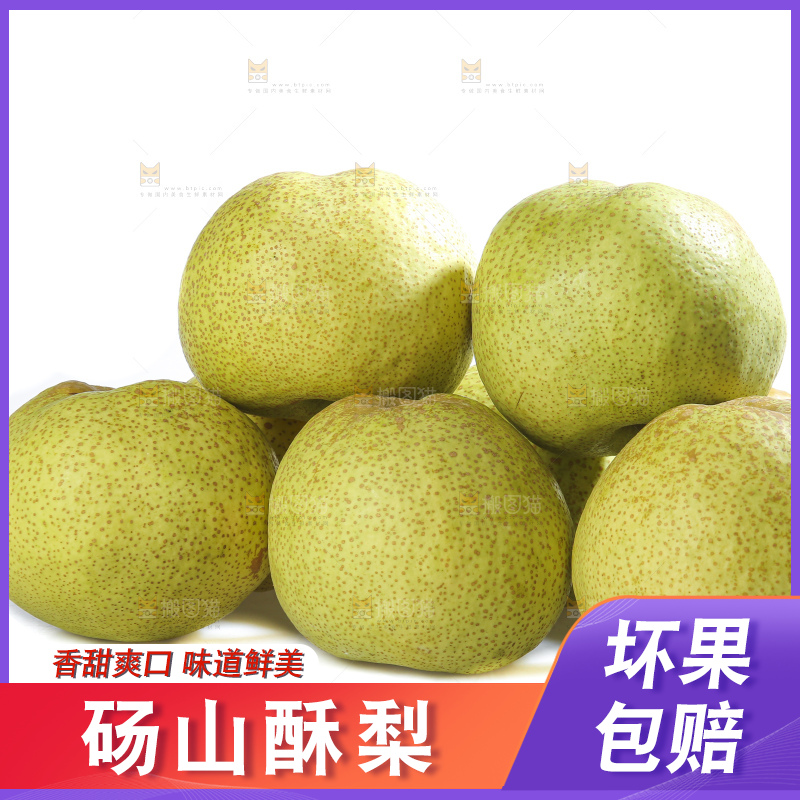 白底上的砀山酥梨