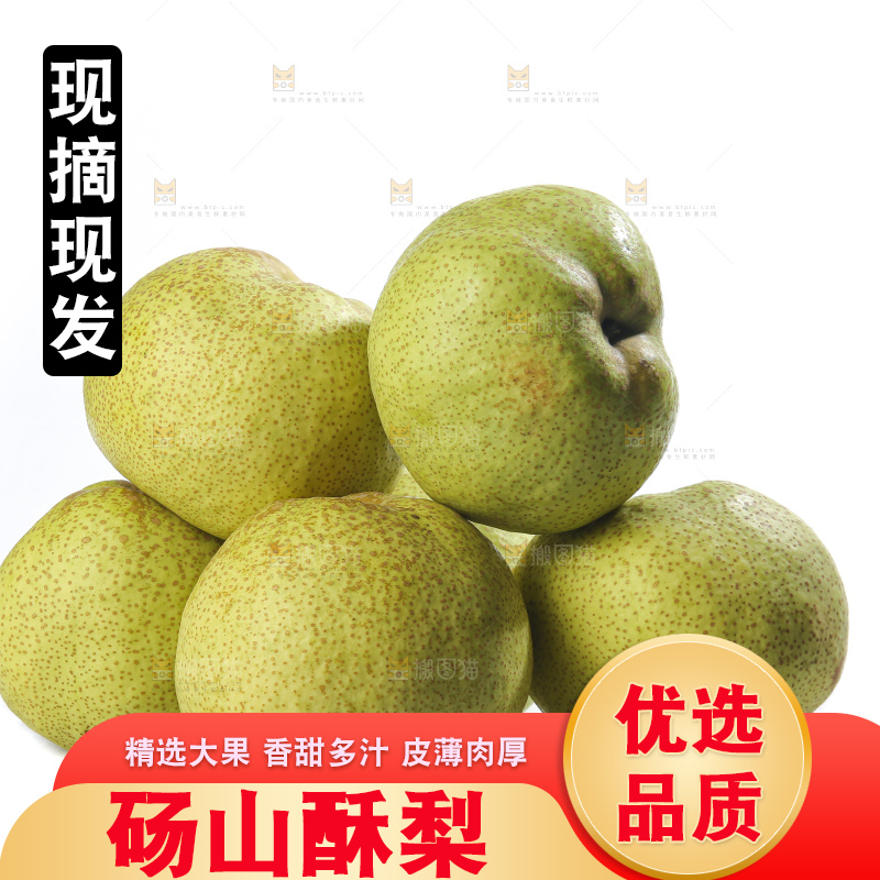 白底上的砀山酥梨