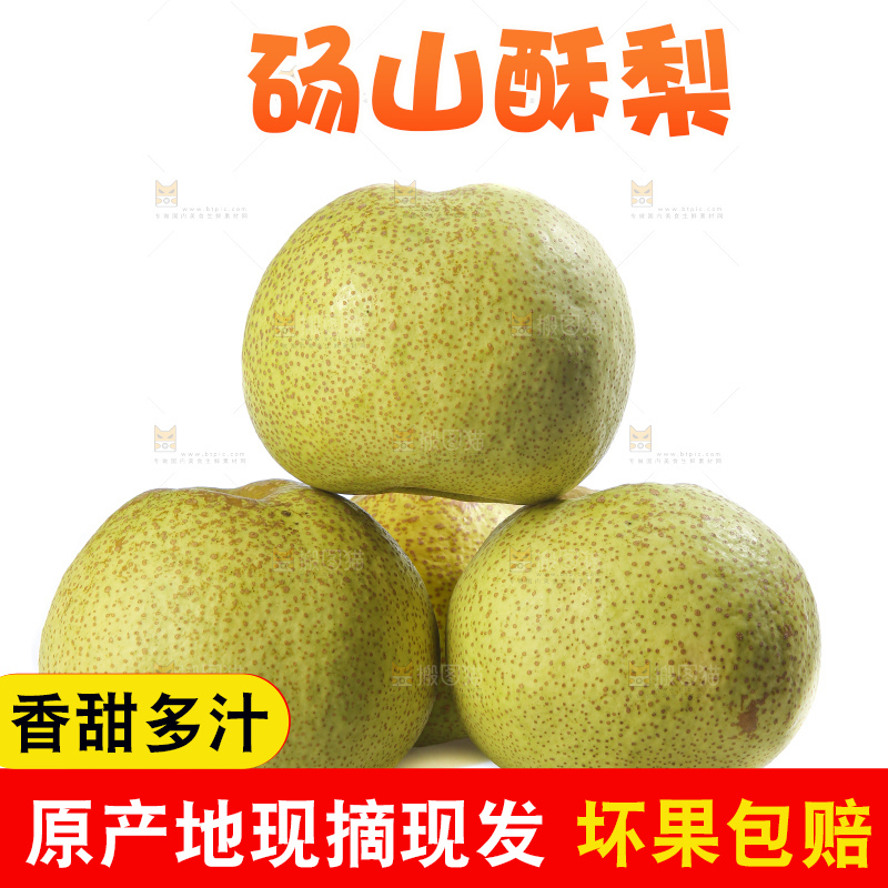 白底上的砀山酥梨