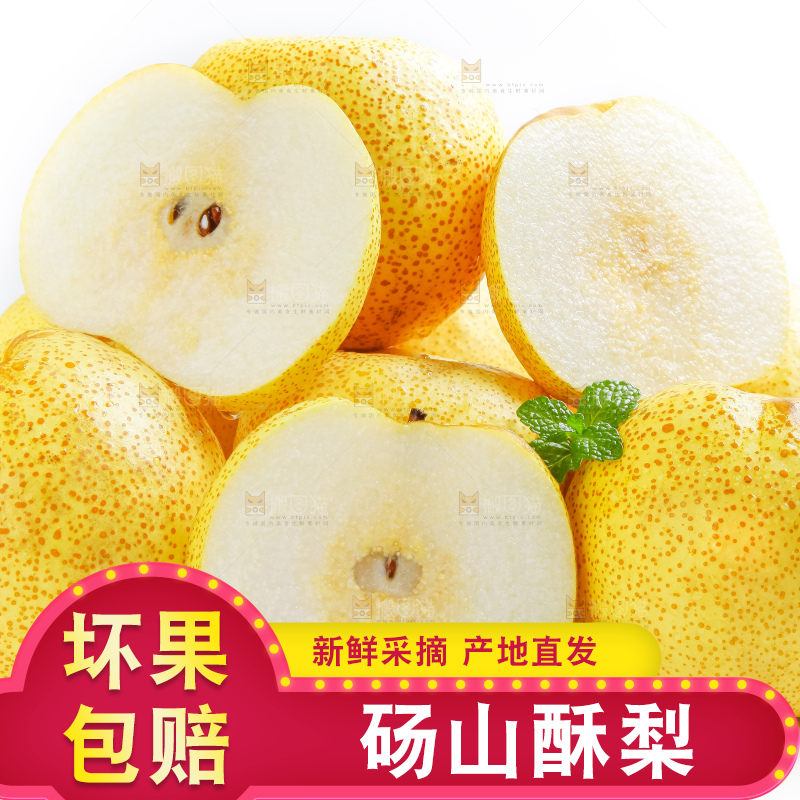 白底上的砀山酥梨