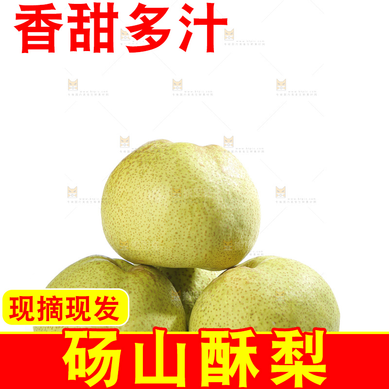 白底上的砀山酥梨