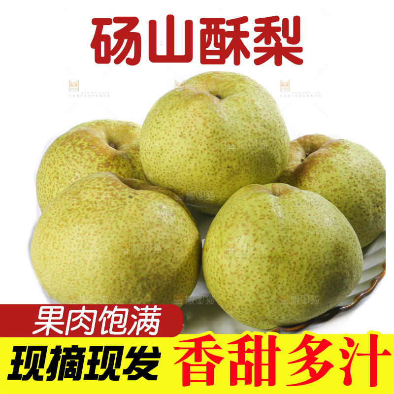 白底上的砀山酥梨