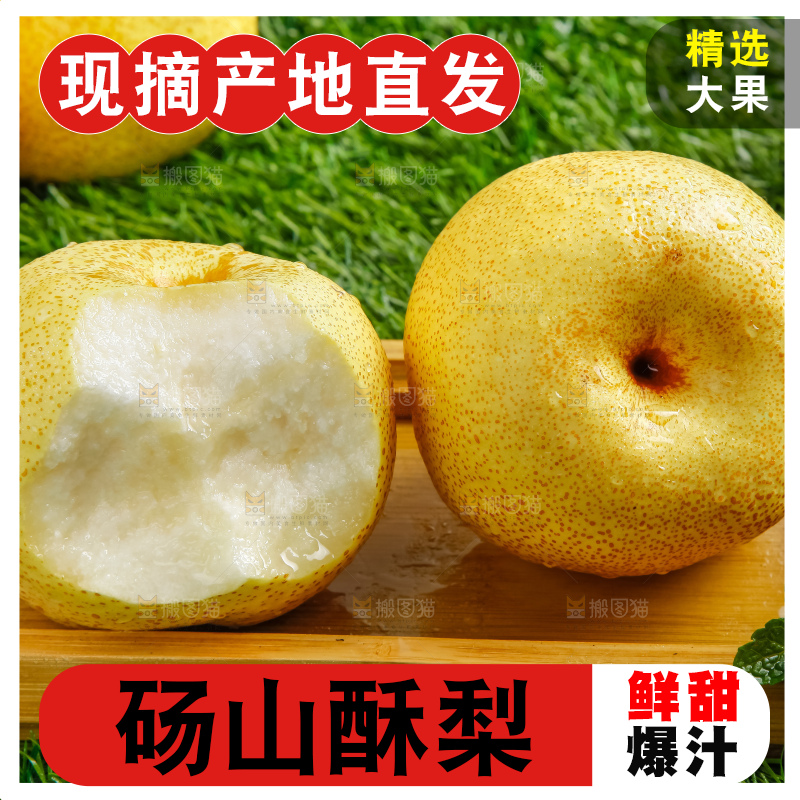 草地上的砀山梨