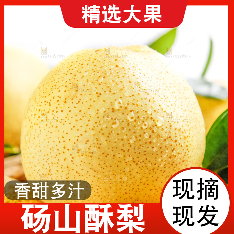 浅底上的砀山酥梨