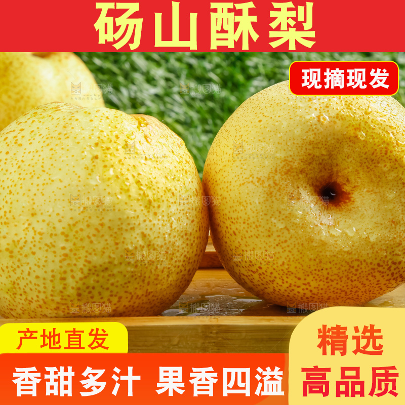草地上的砀山梨