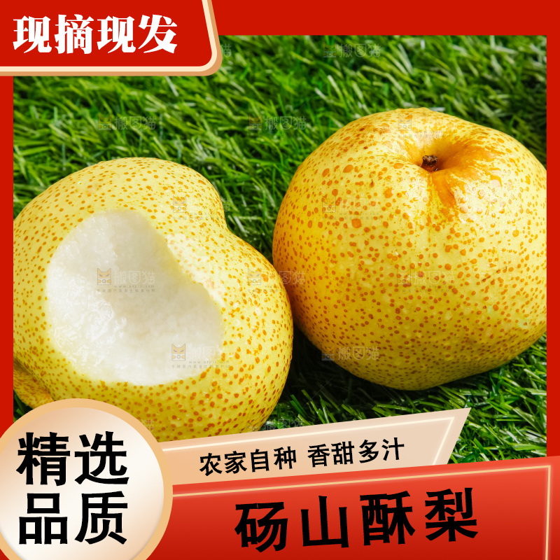 草地上的砀山梨