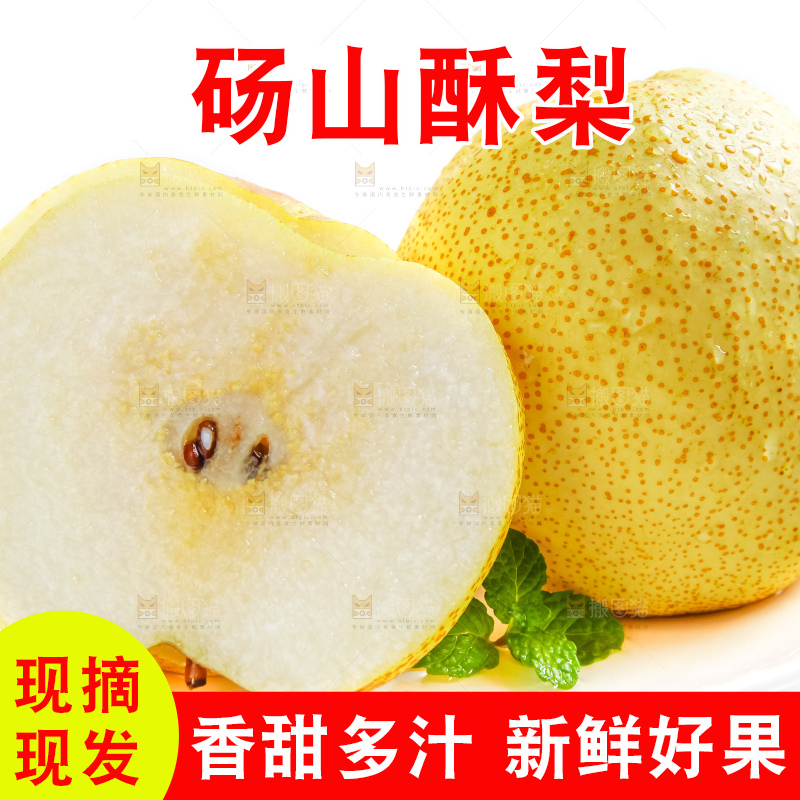 白底上的砀山酥梨