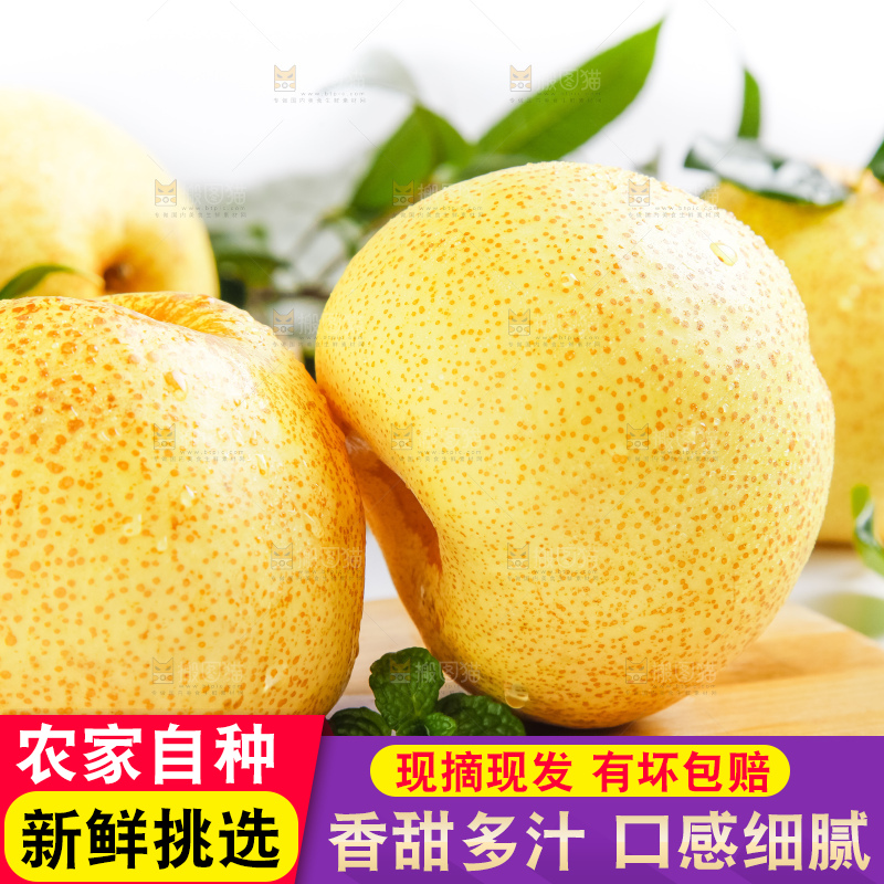 浅底上的砀山酥梨