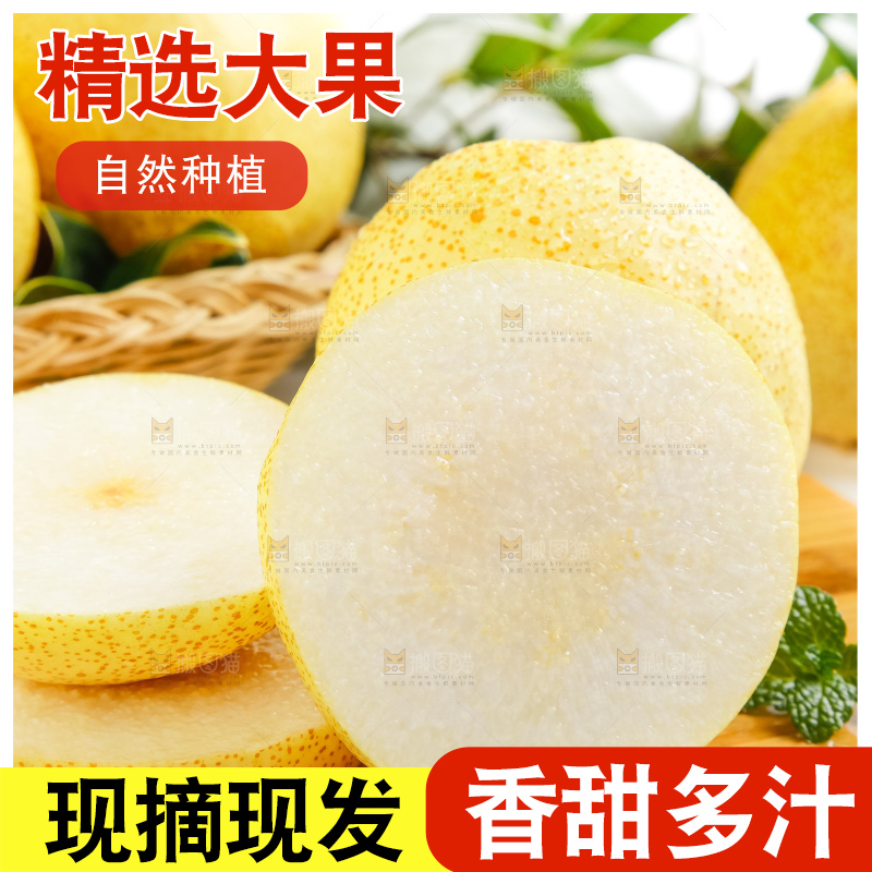 浅底上的砀山酥梨