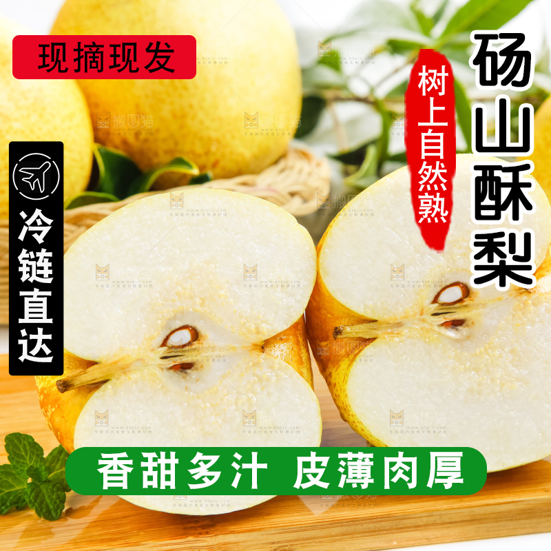 浅底上的砀山酥梨