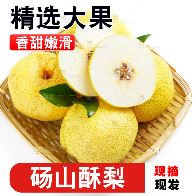 白底上的砀山酥梨