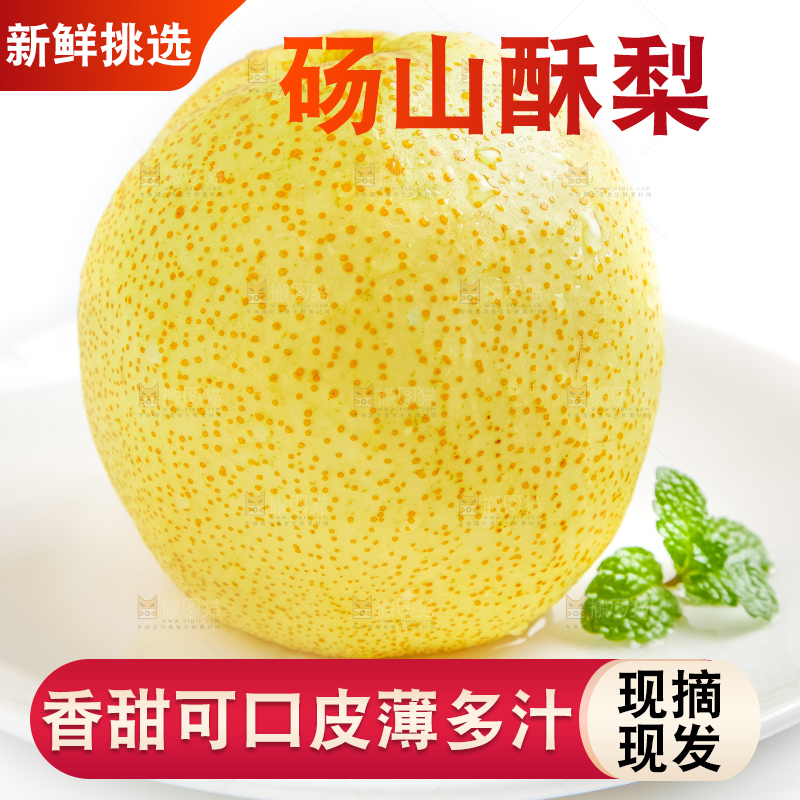 白底上的砀山酥梨