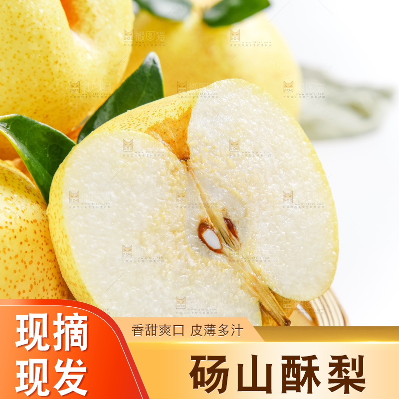 白底上的砀山酥梨