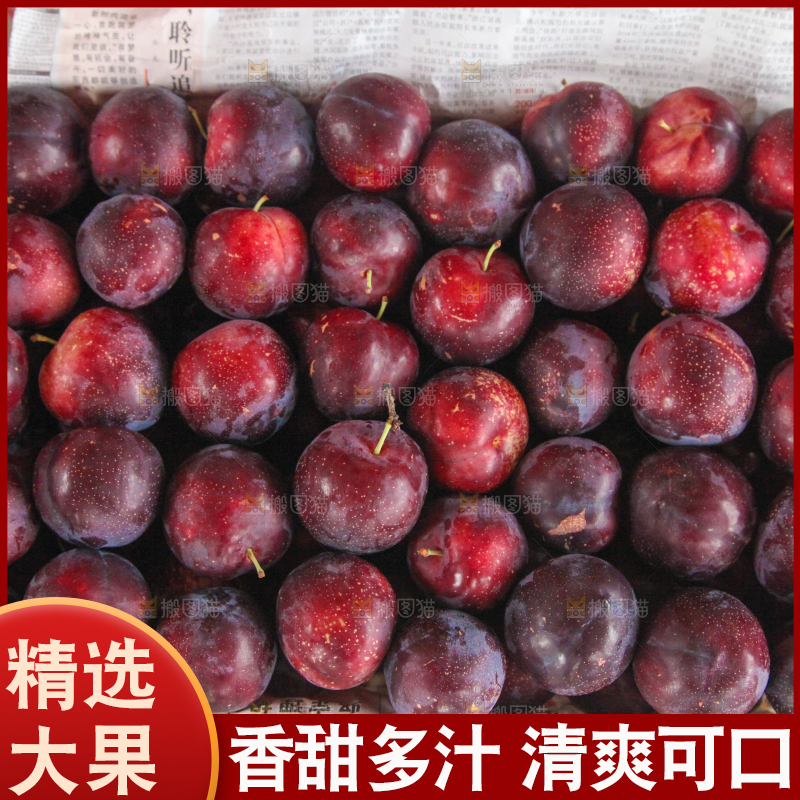 堆放着的新鲜红布林李子