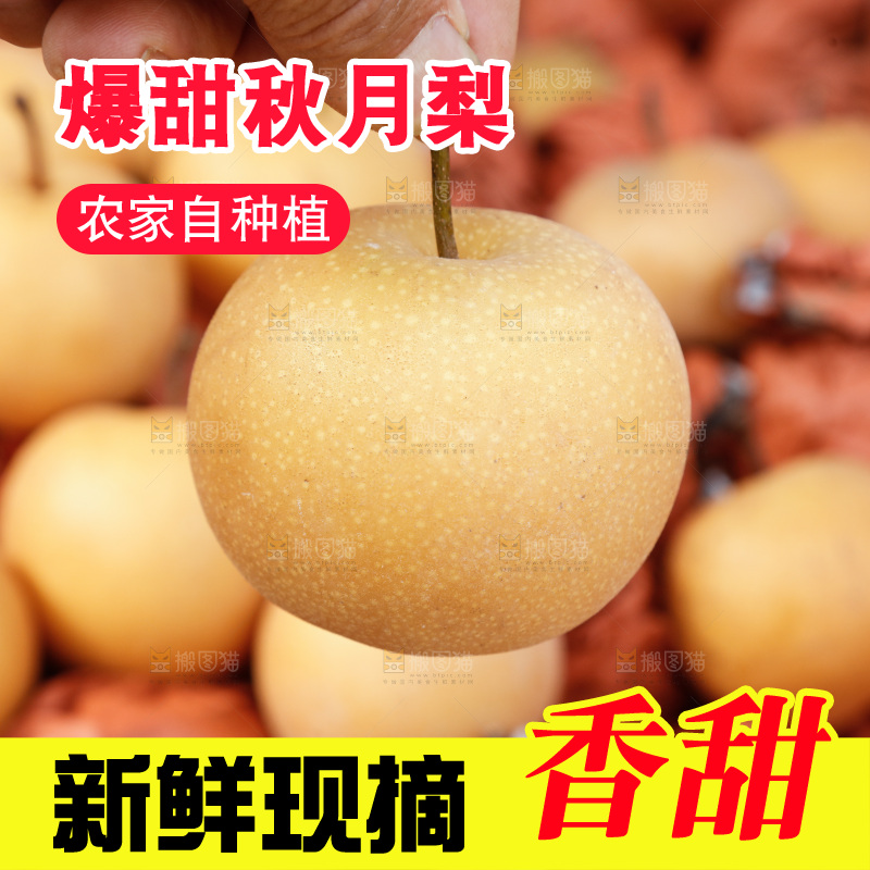 堆放着的冰糖梨