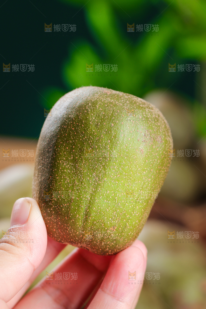 木底上的红心猕猴桃