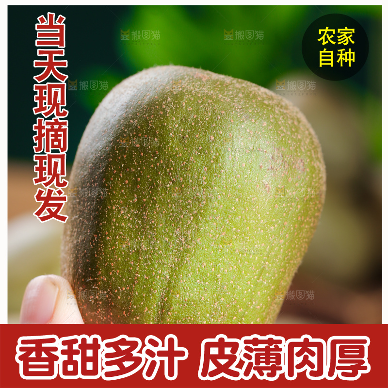 木底上的红心猕猴桃