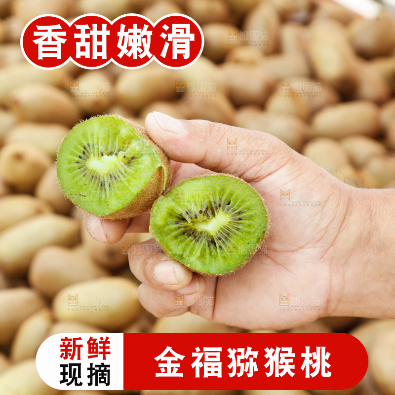 堆放着的金福猕猴桃