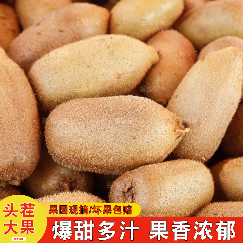 堆放着的金福猕猴桃