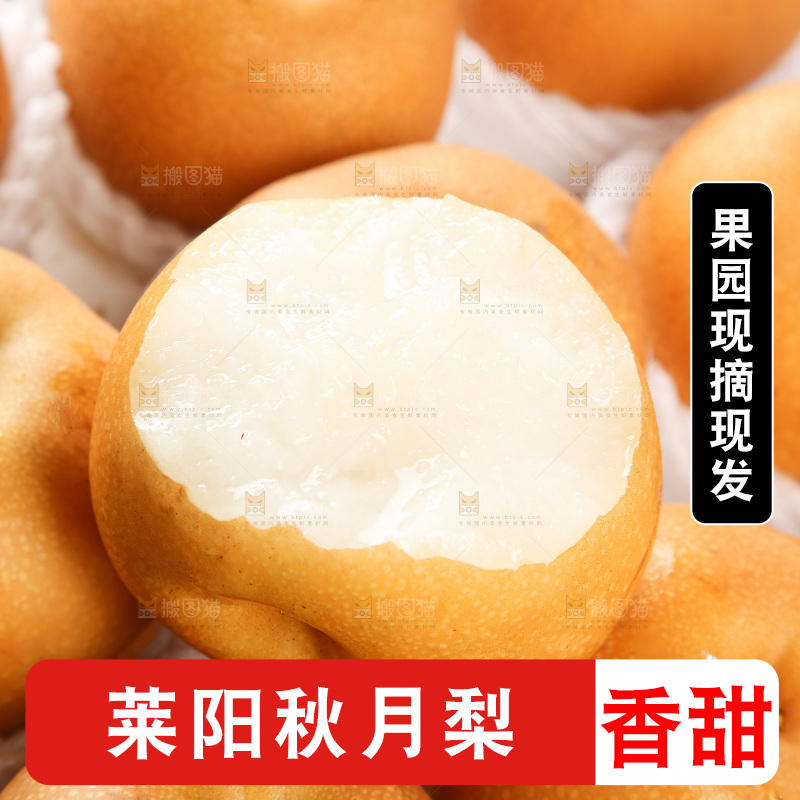 木底上的秋月梨