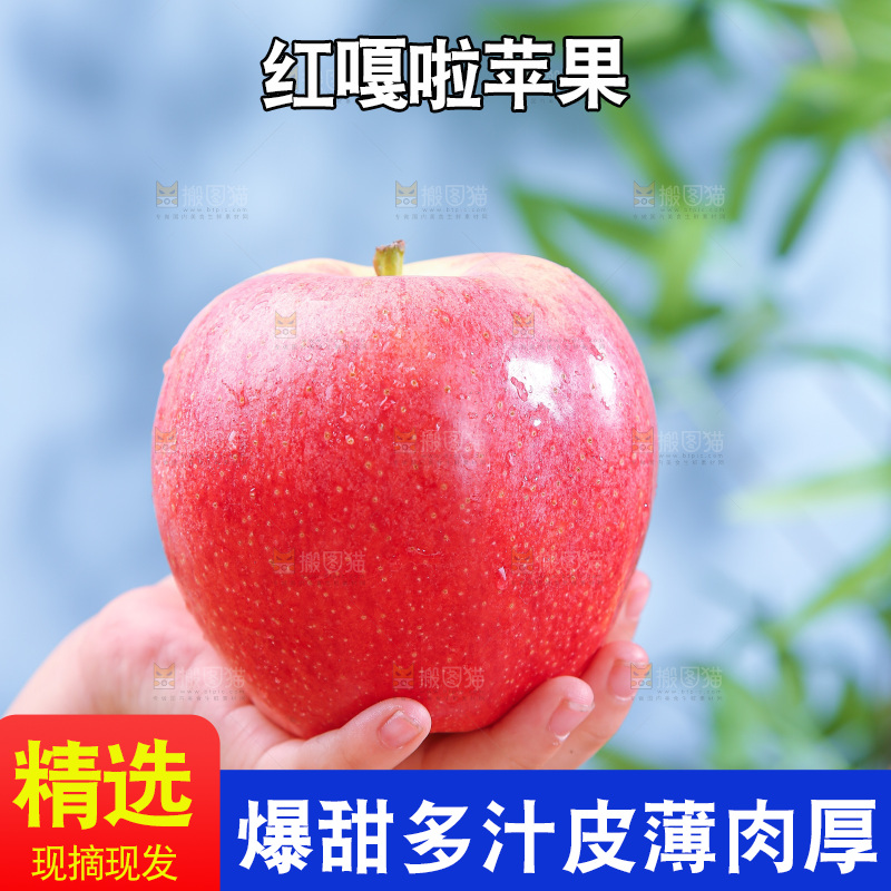 浅底上的红嘎啦苹果