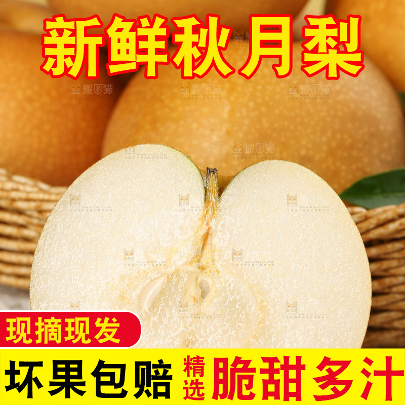 浅底上的秋月梨